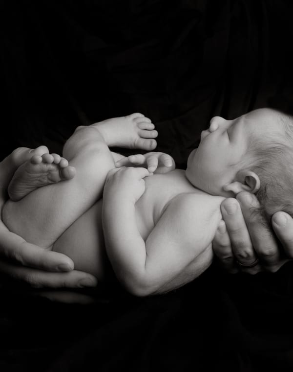 Newborns portrait photography — Studio Reverie
